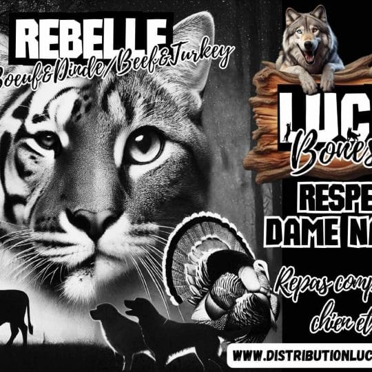Rebelle – Boeuf et Dinde – Lucky Bone