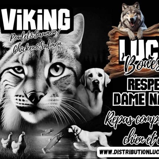 Viking - Poulet et saumon entier - Lucky Bones