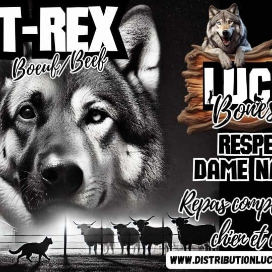 T-Rex – Boeuf – Lucky Bones