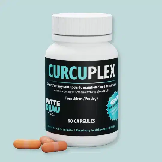 curcuplex_1920d9c5-f108-4cb3-98e4-e7e00083d1fd_008