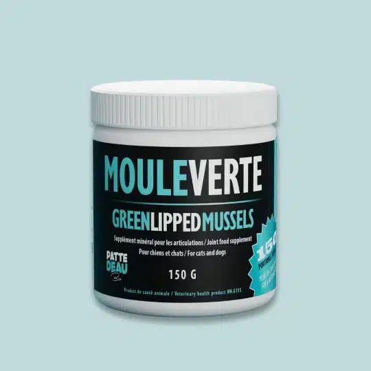 moule verte